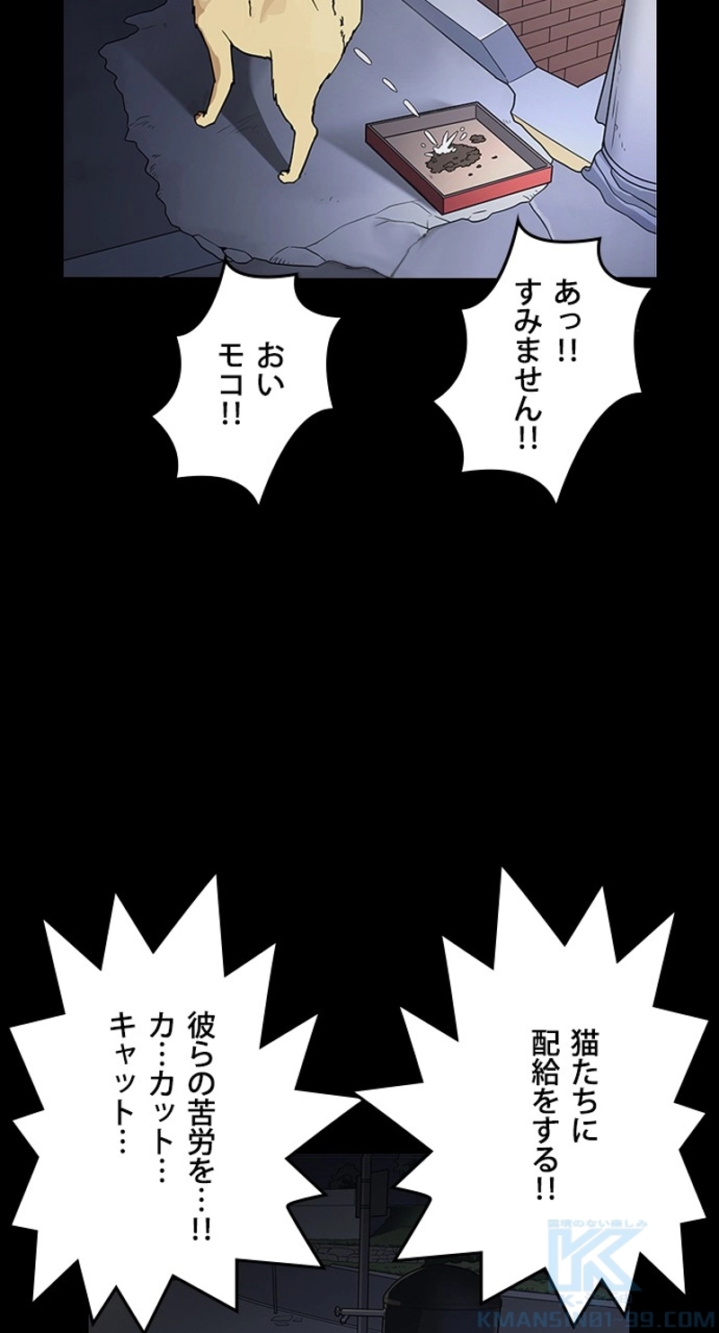 P61