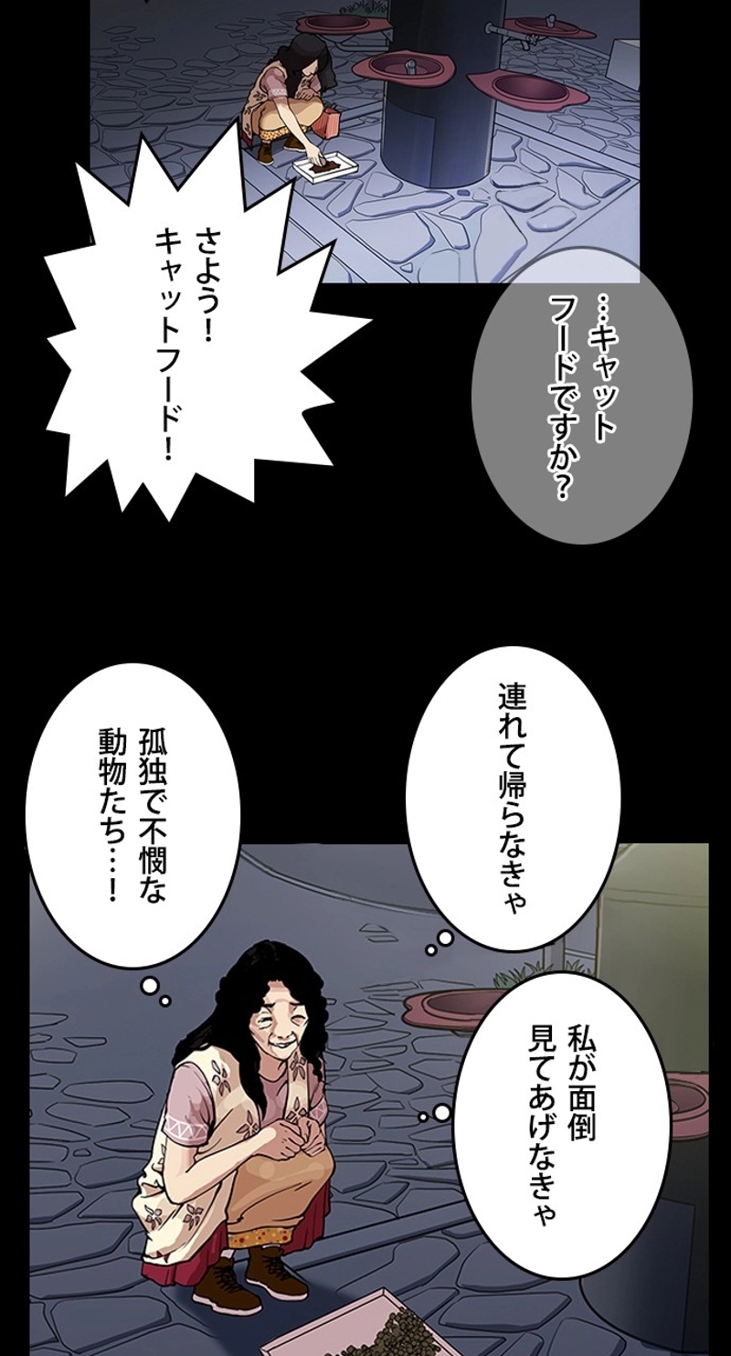P62
