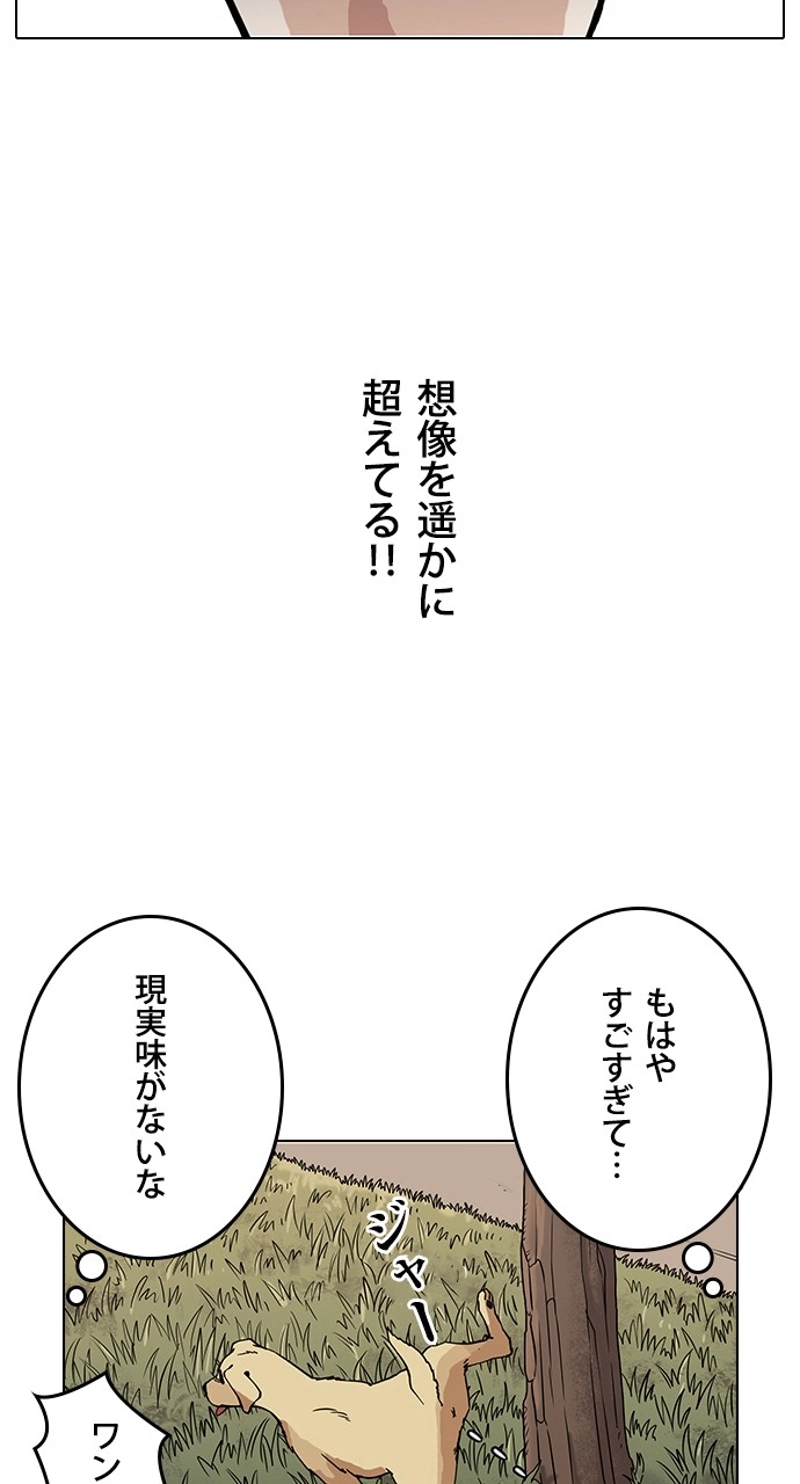 P48