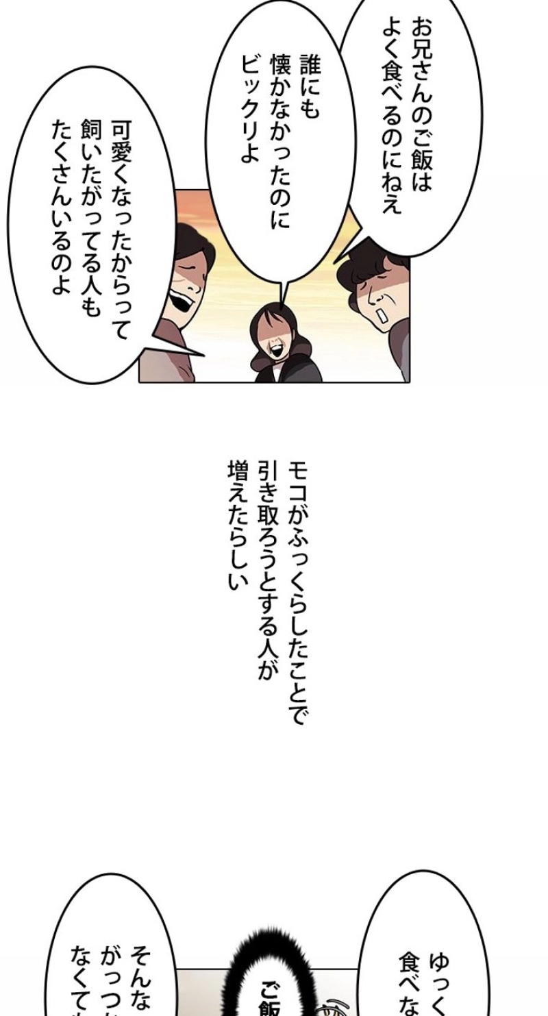 P42
