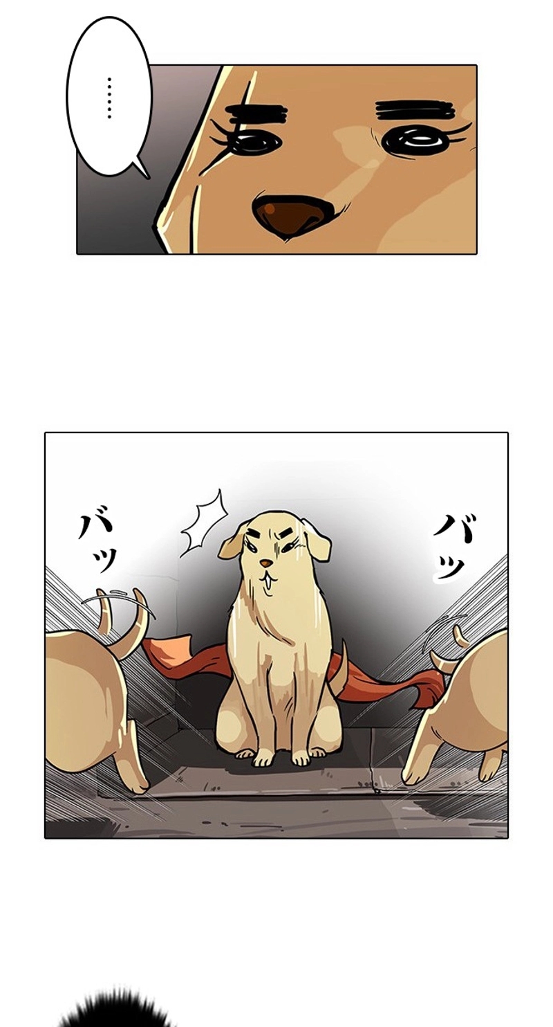 P48
