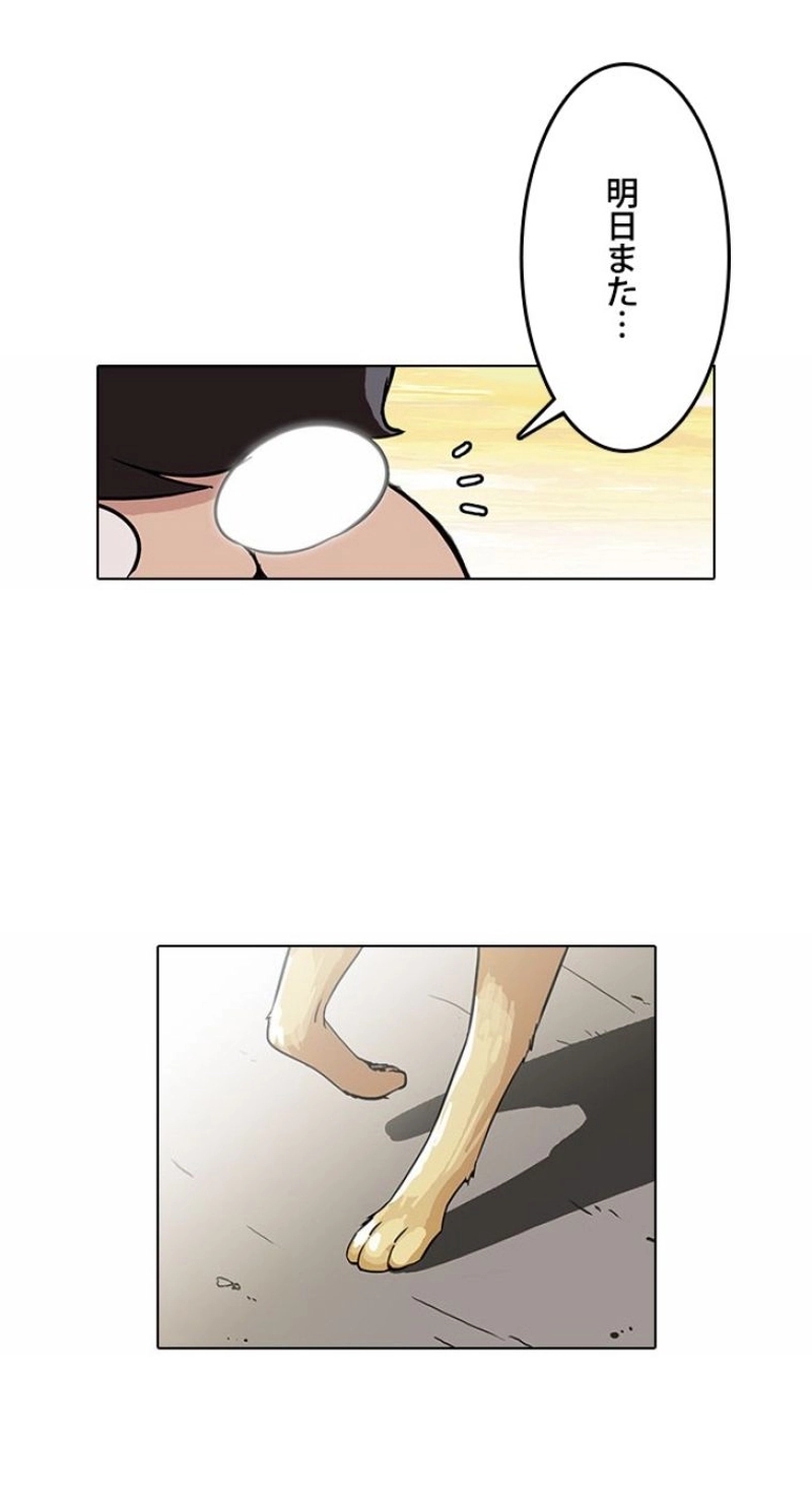 P53