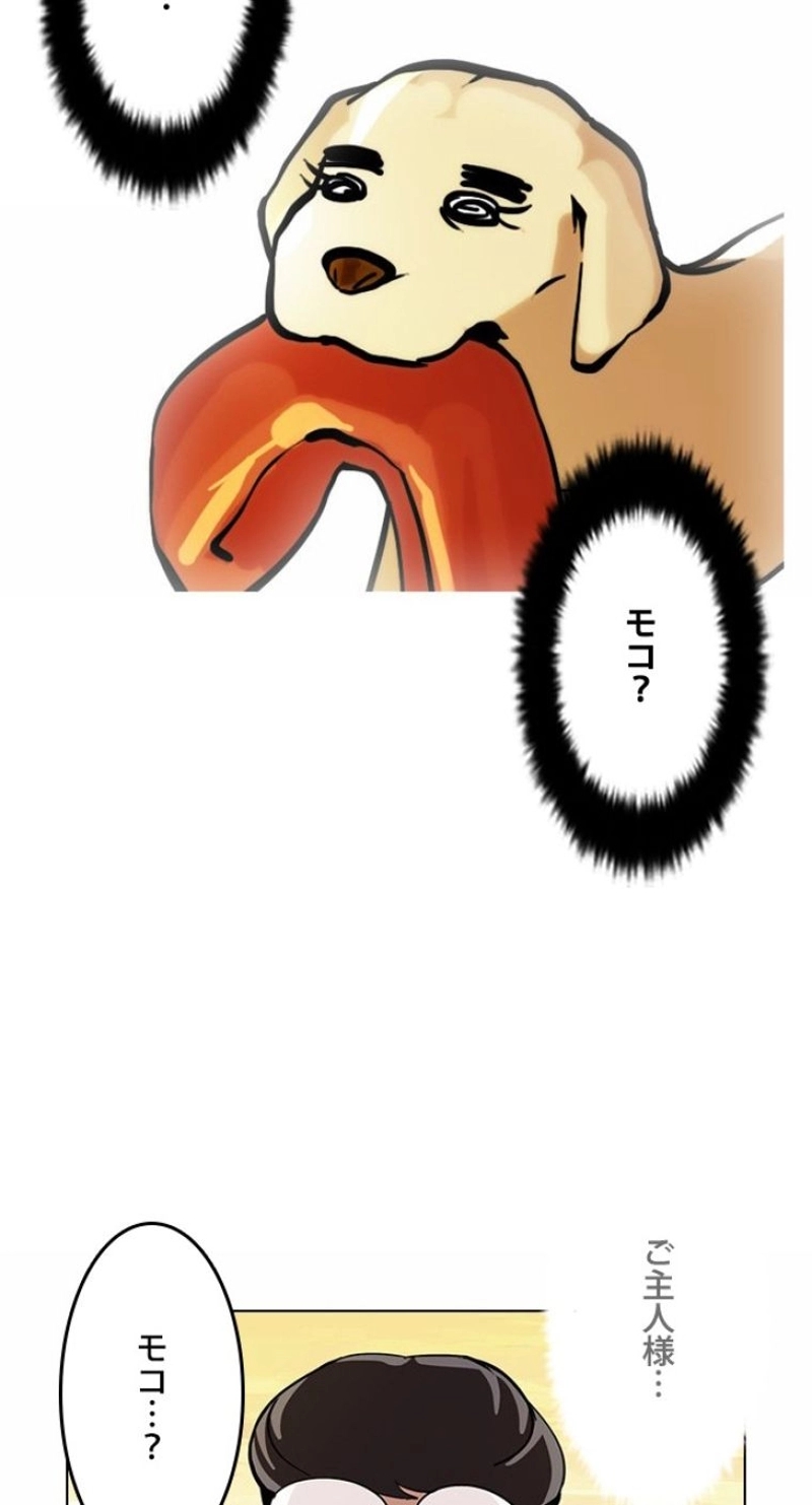 P55
