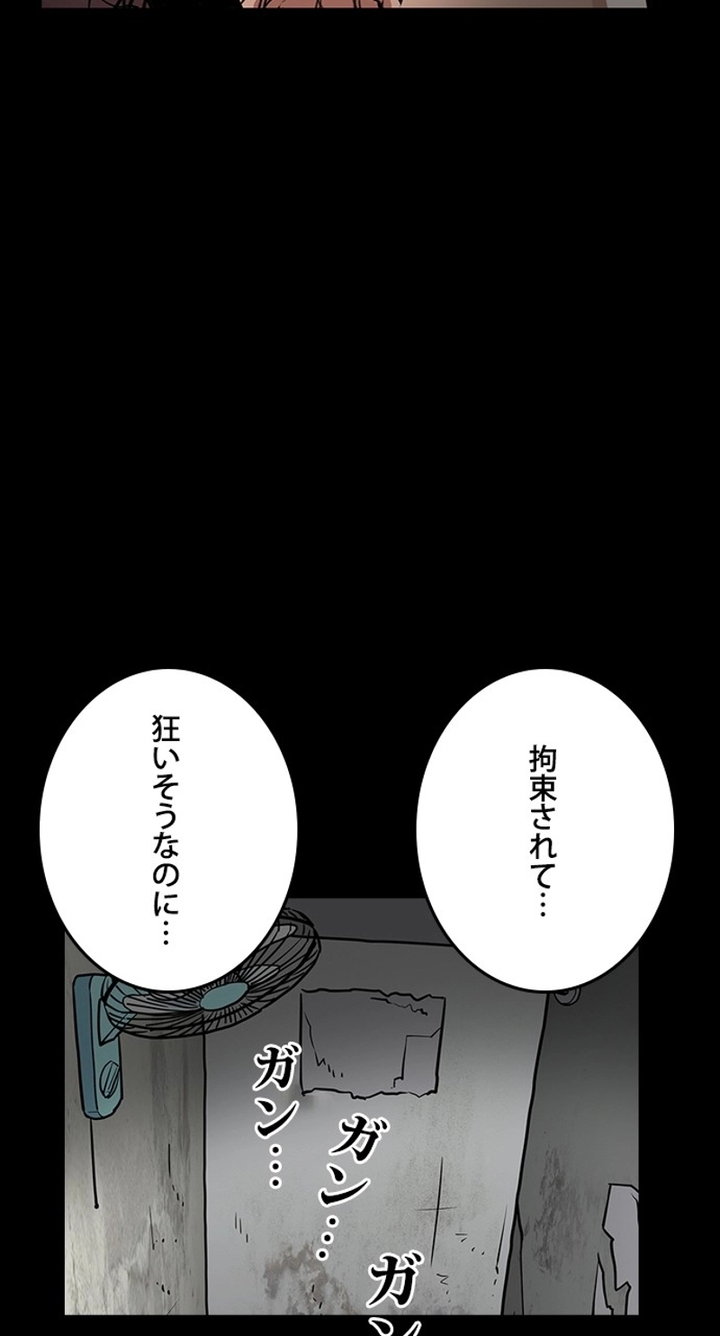 P53
