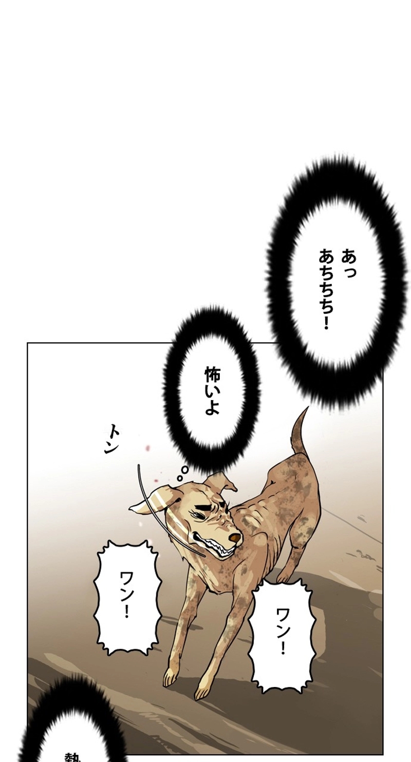 P60