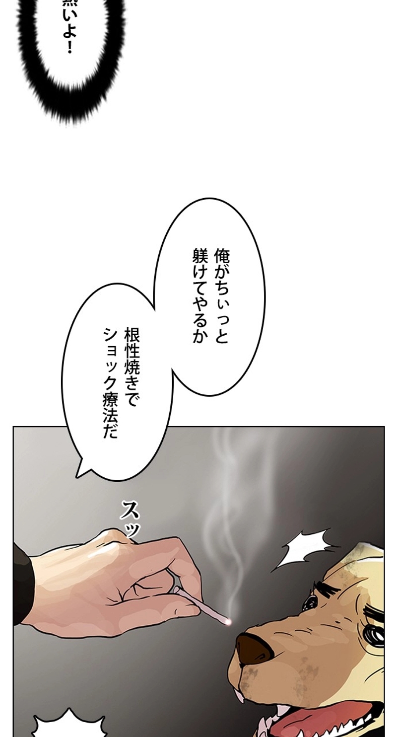 P61