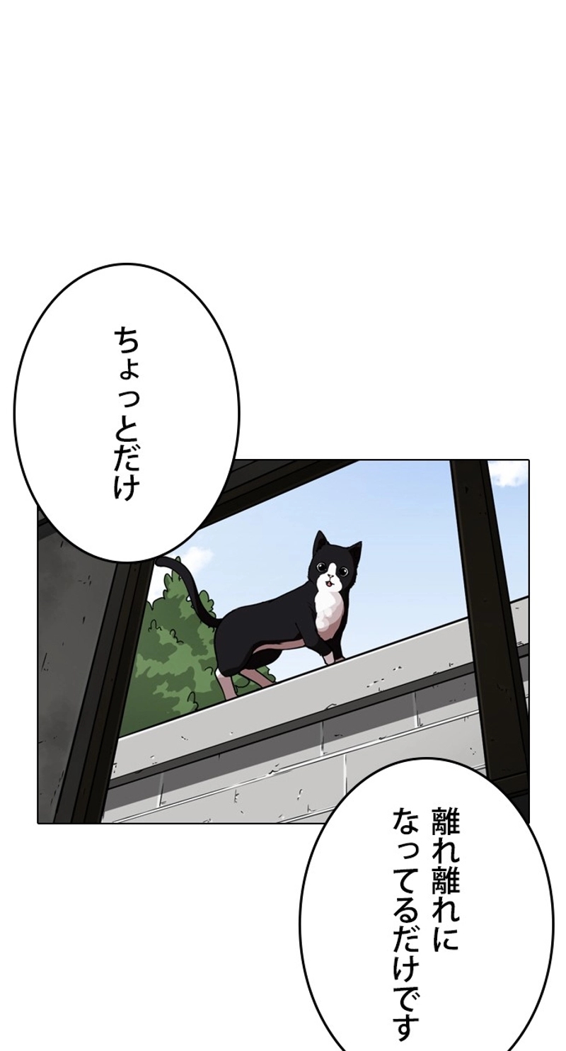 P42