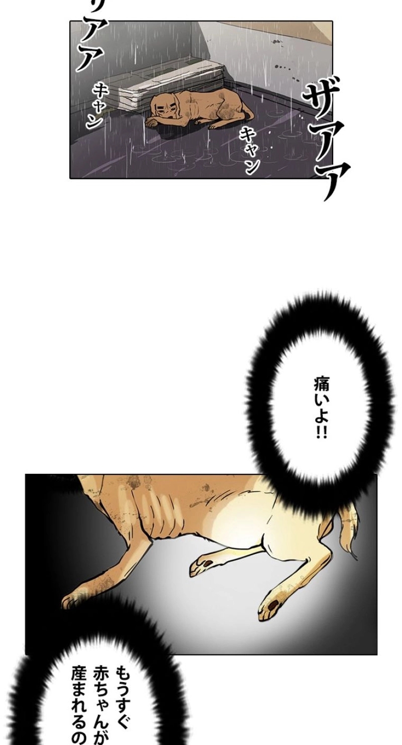 P64