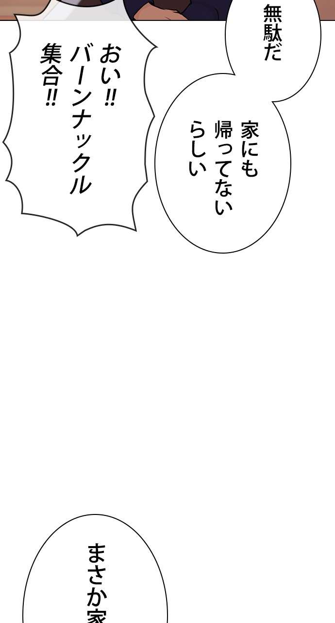 P53