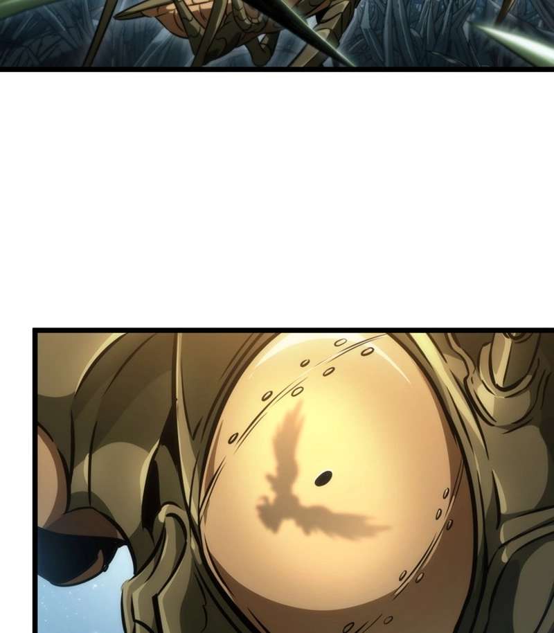 P81