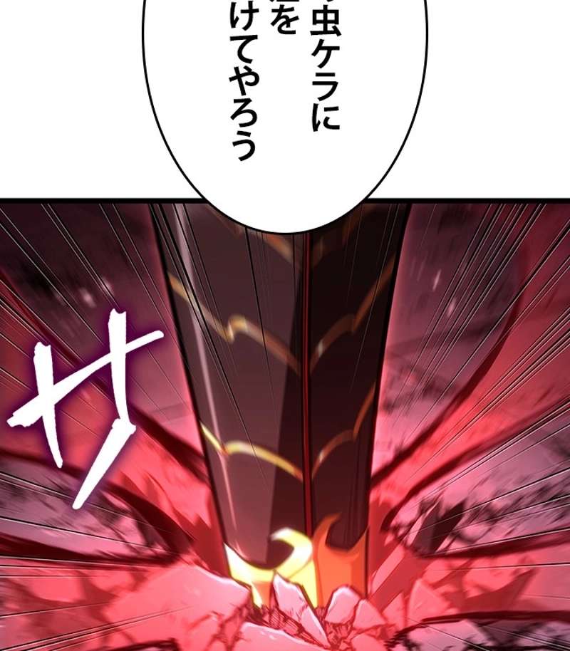 P24