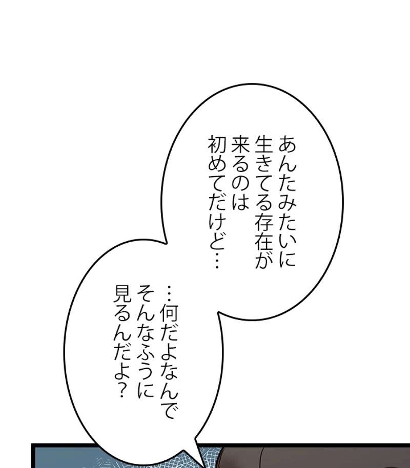 P164