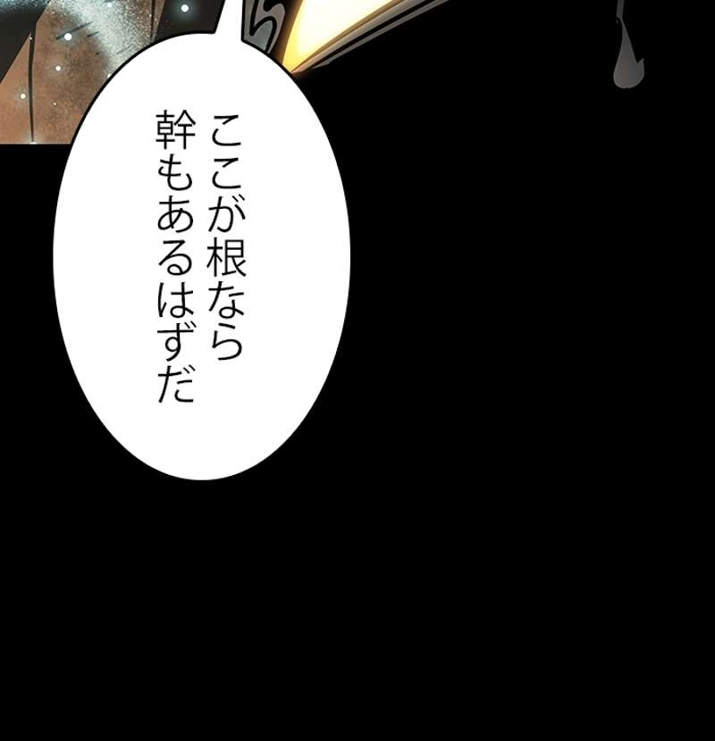 P163