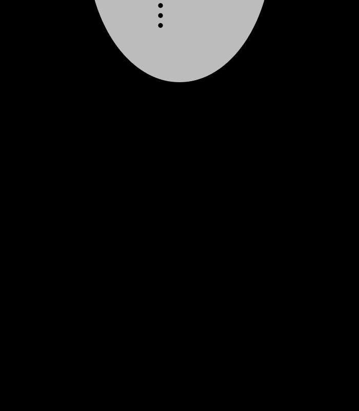 P746
