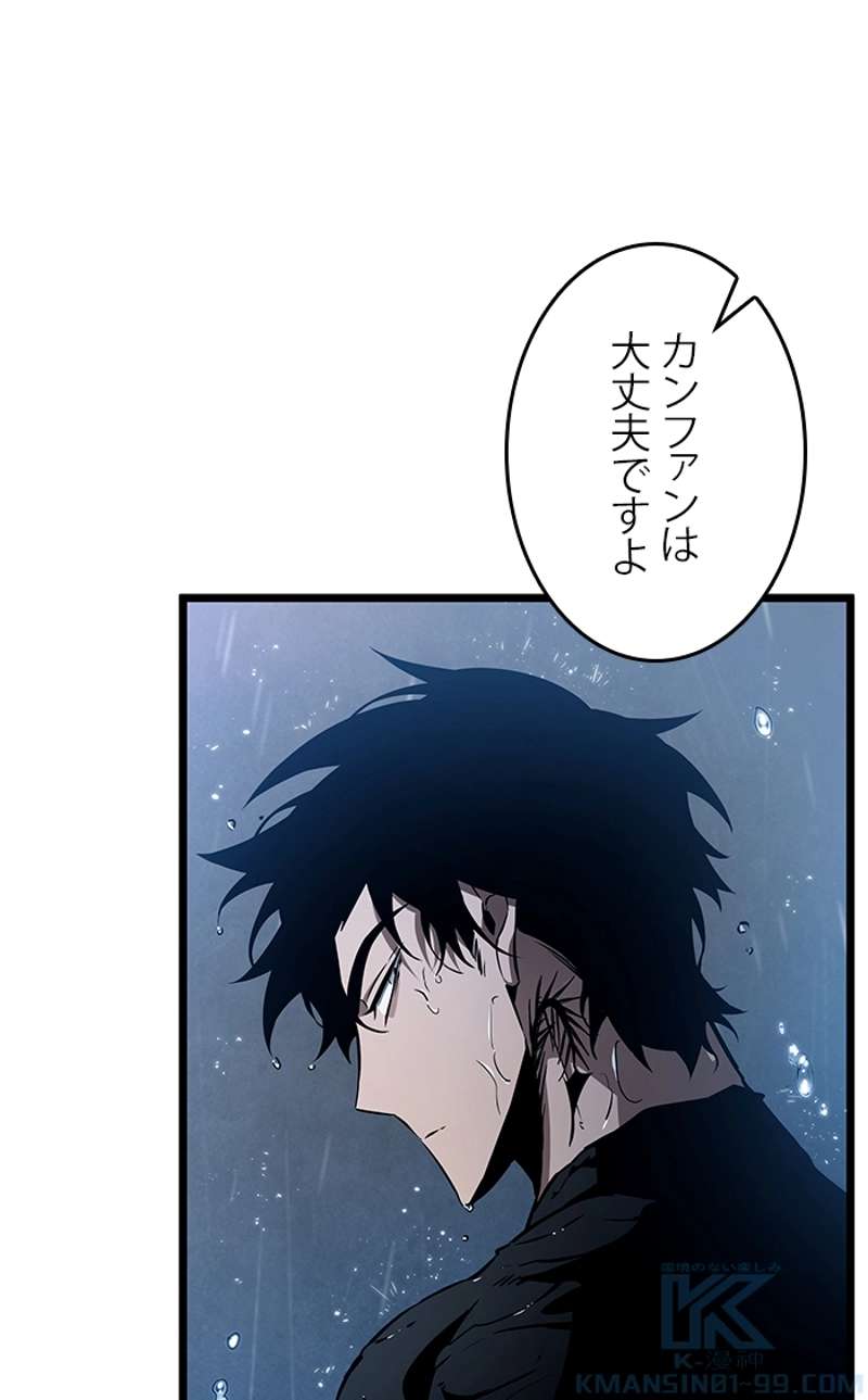 P113