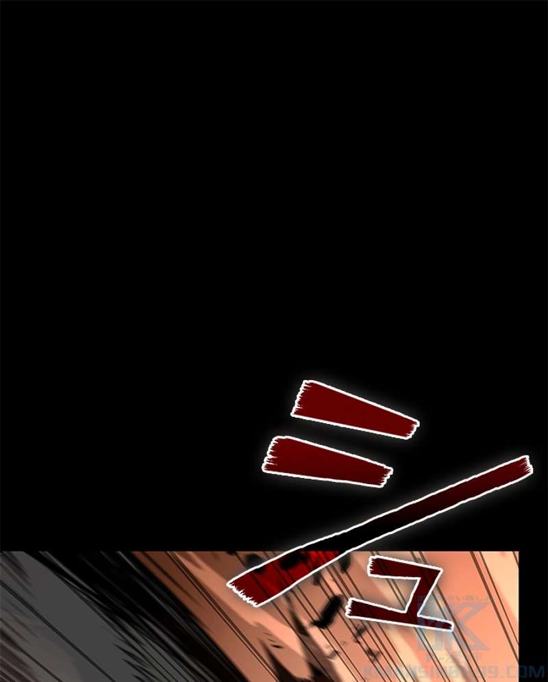 P53