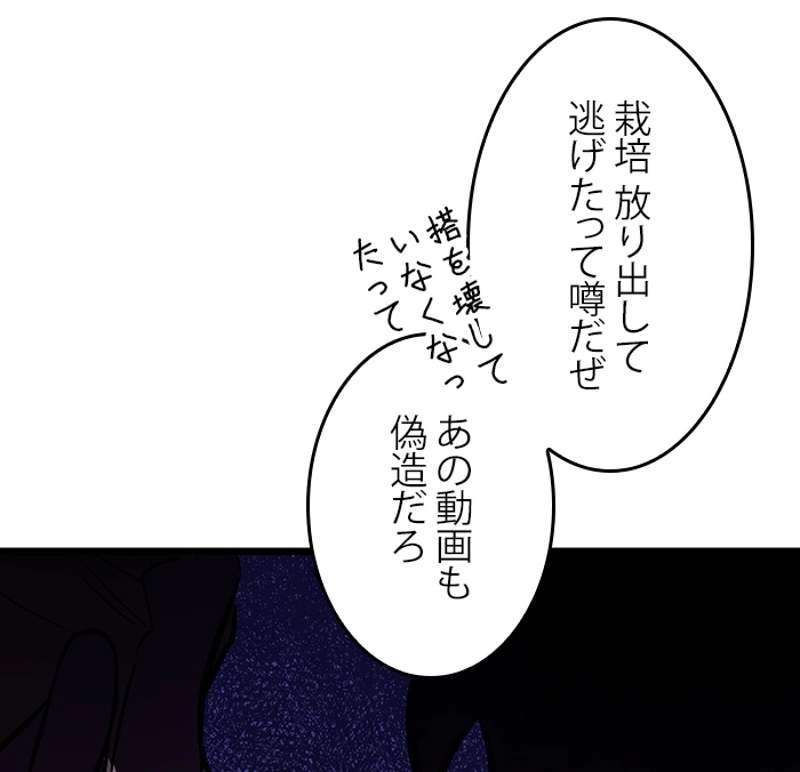 P53