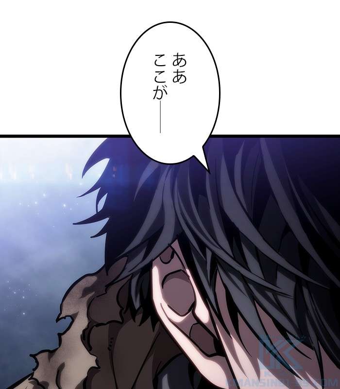 P217