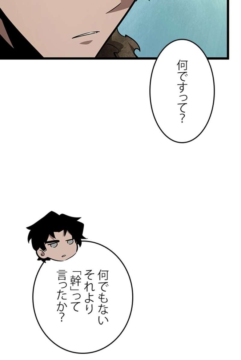 P58