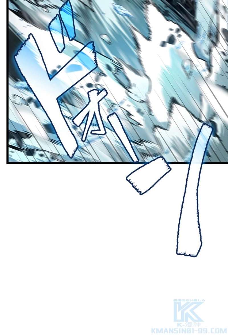 P113