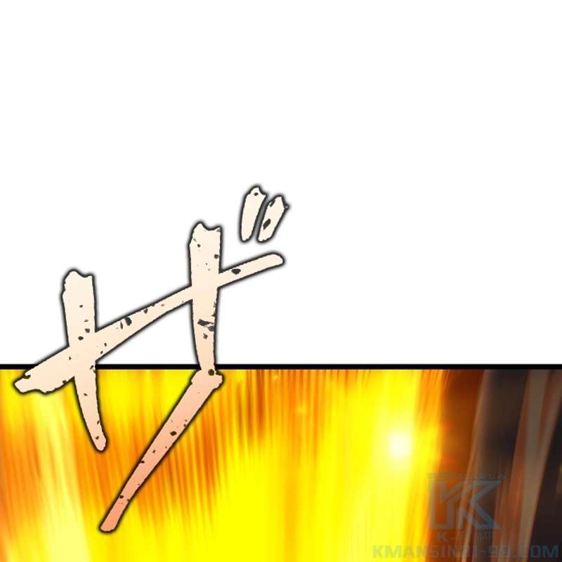 P178