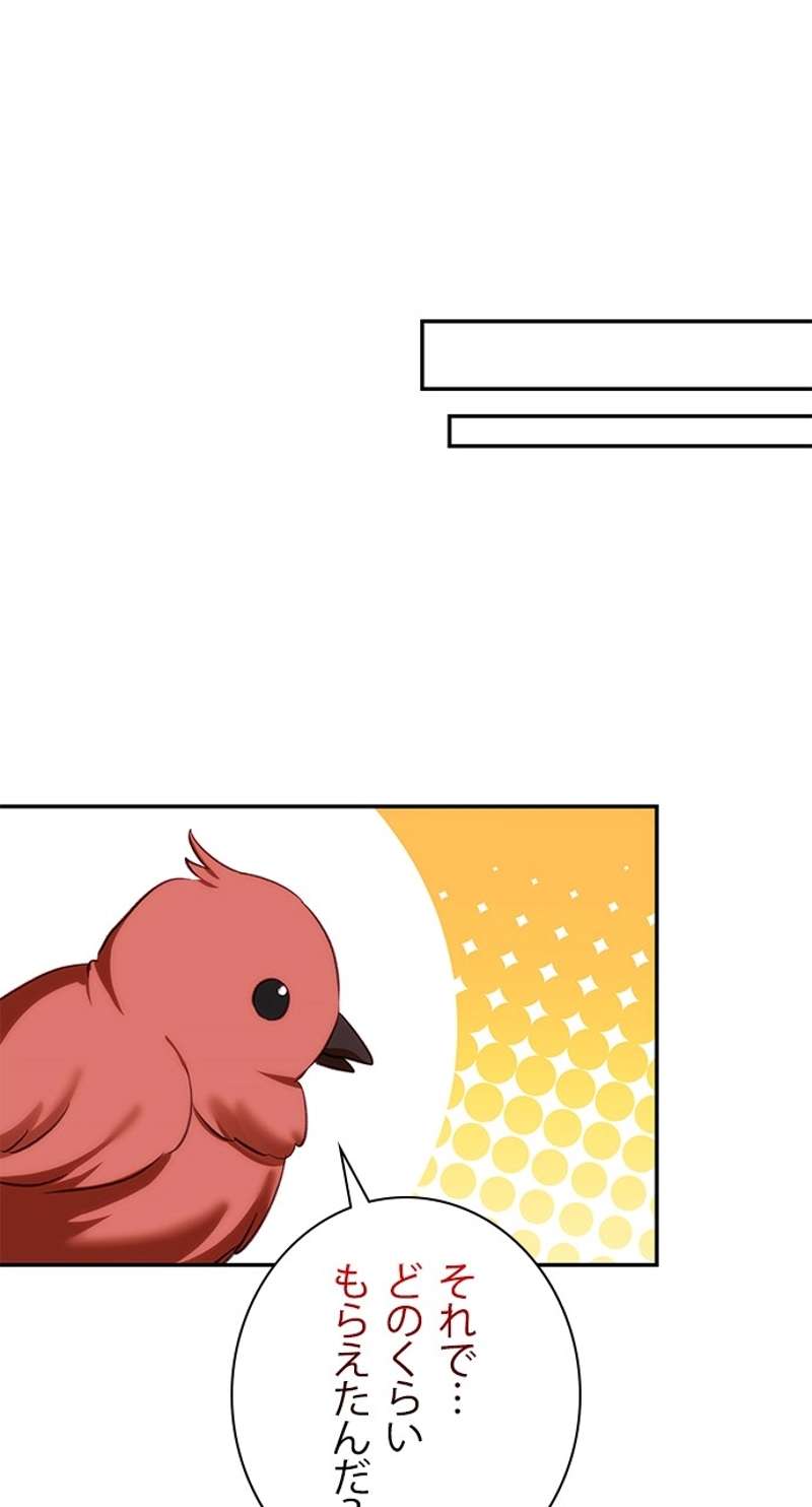 P63
