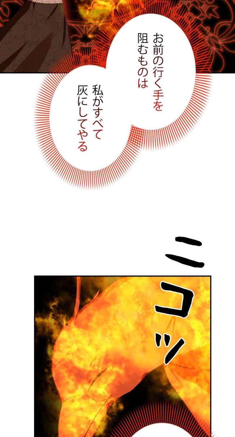 P66