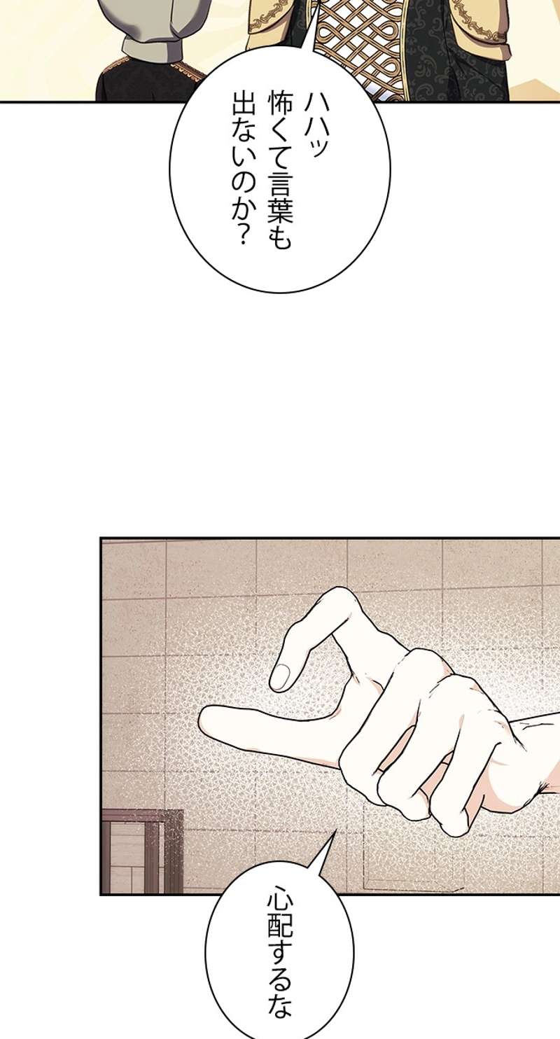 P63