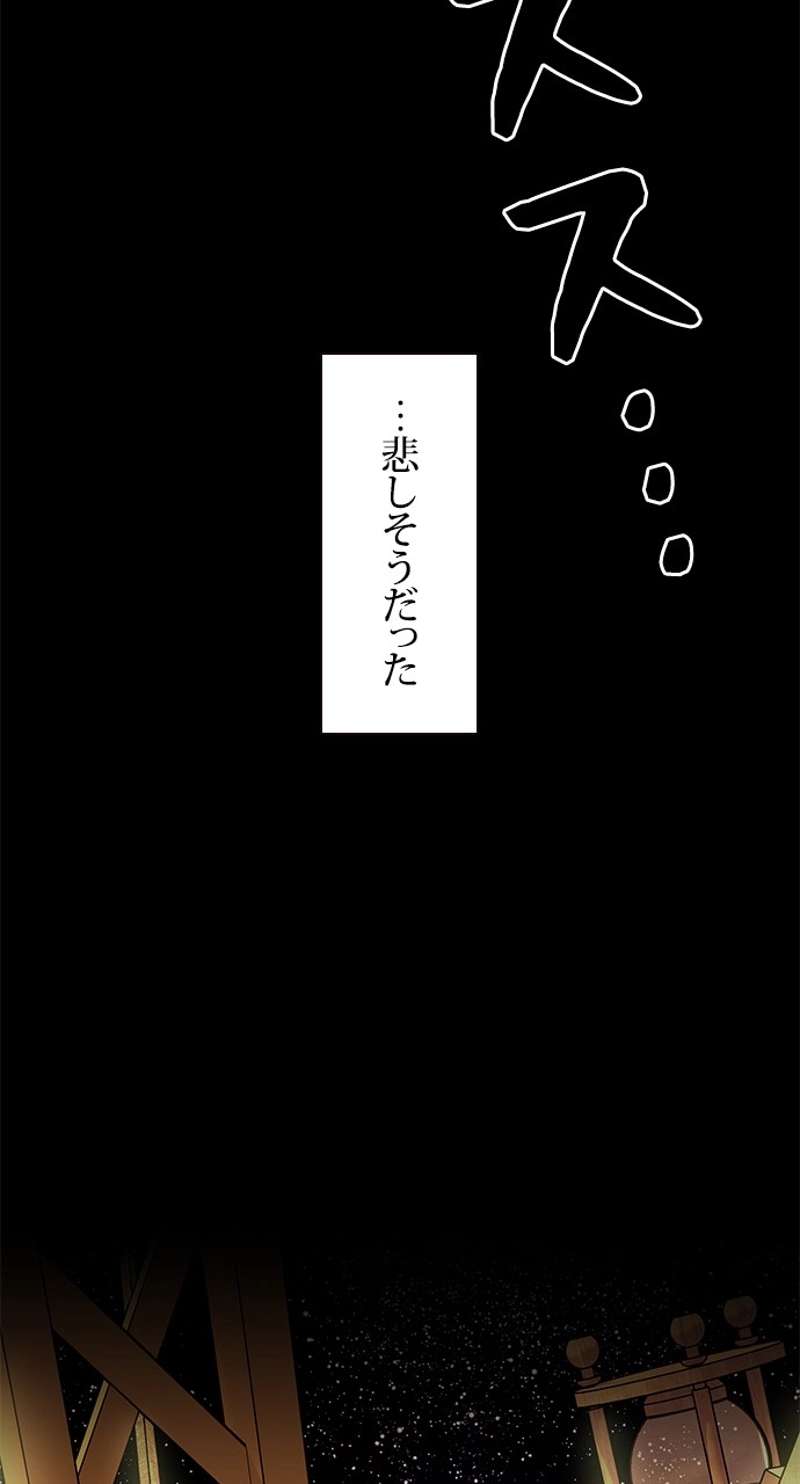 P53