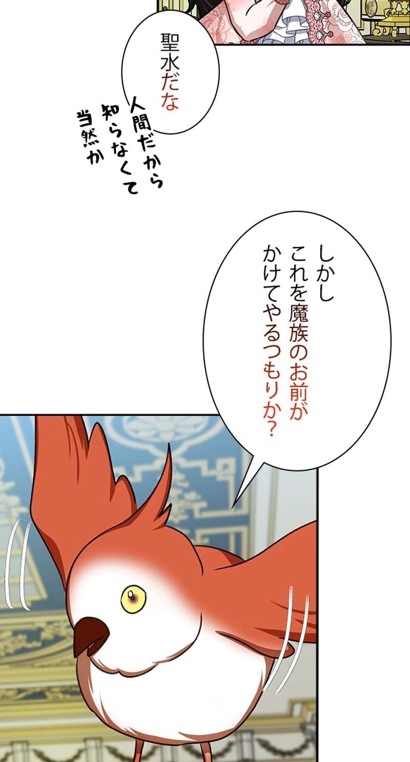 P63
