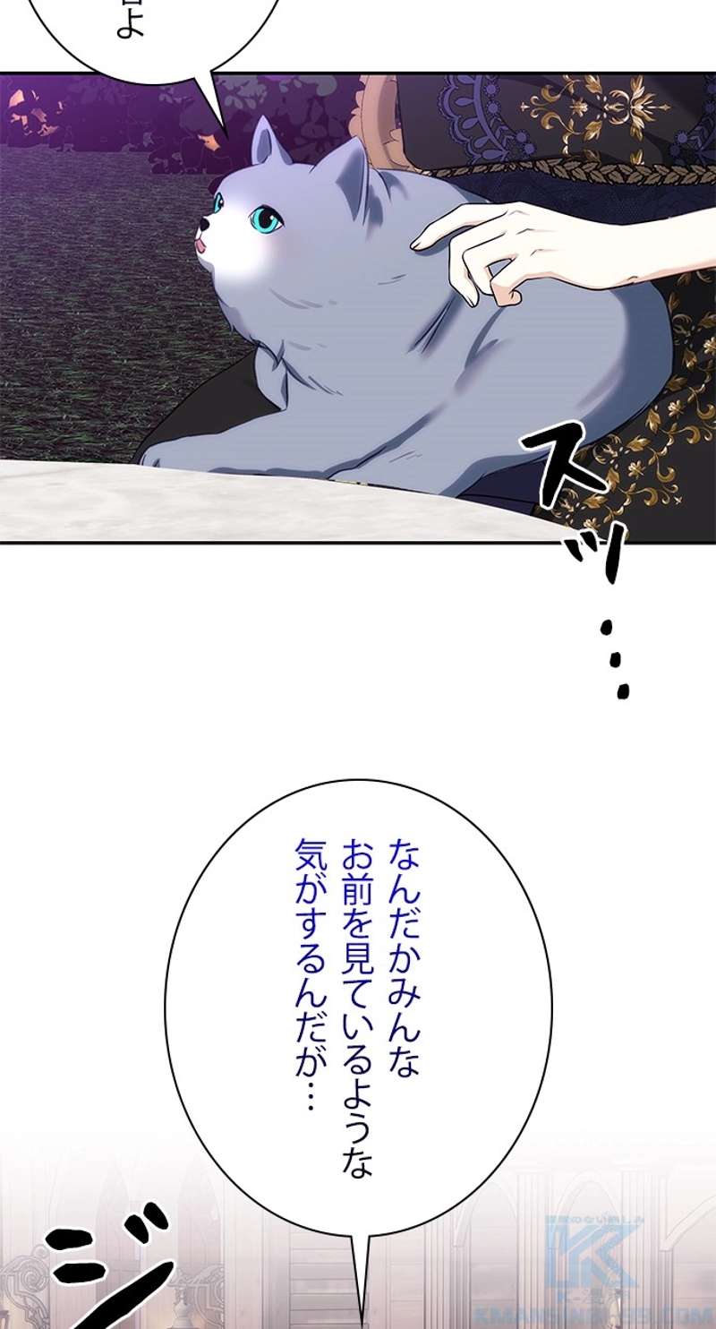 P73