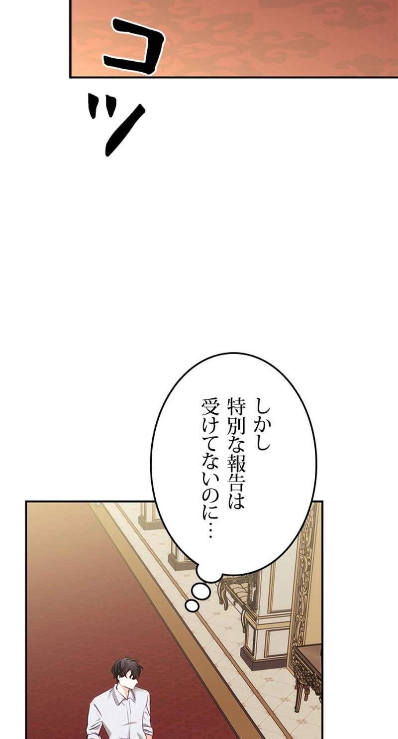 P41