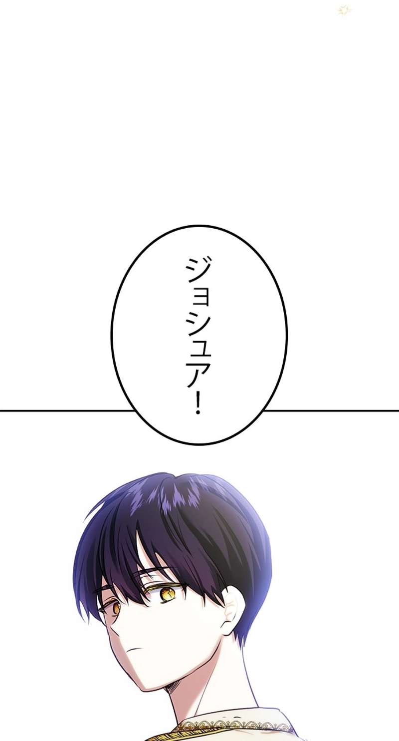 P66