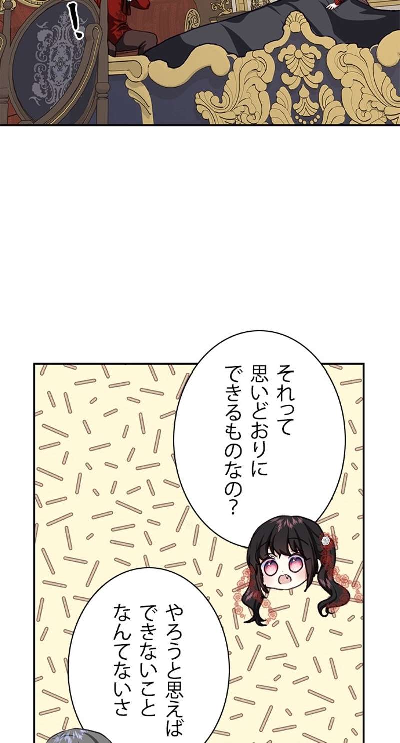 P65