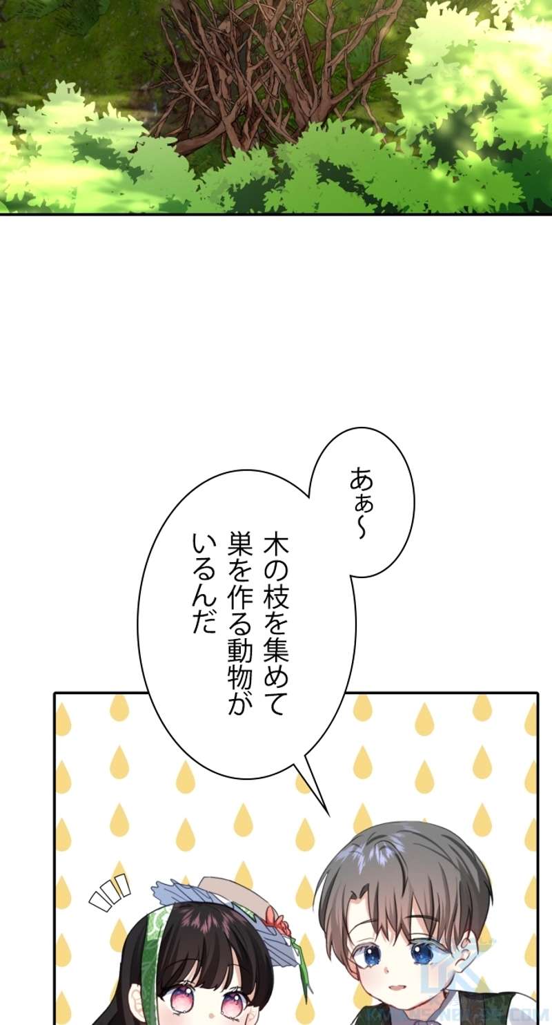 P67