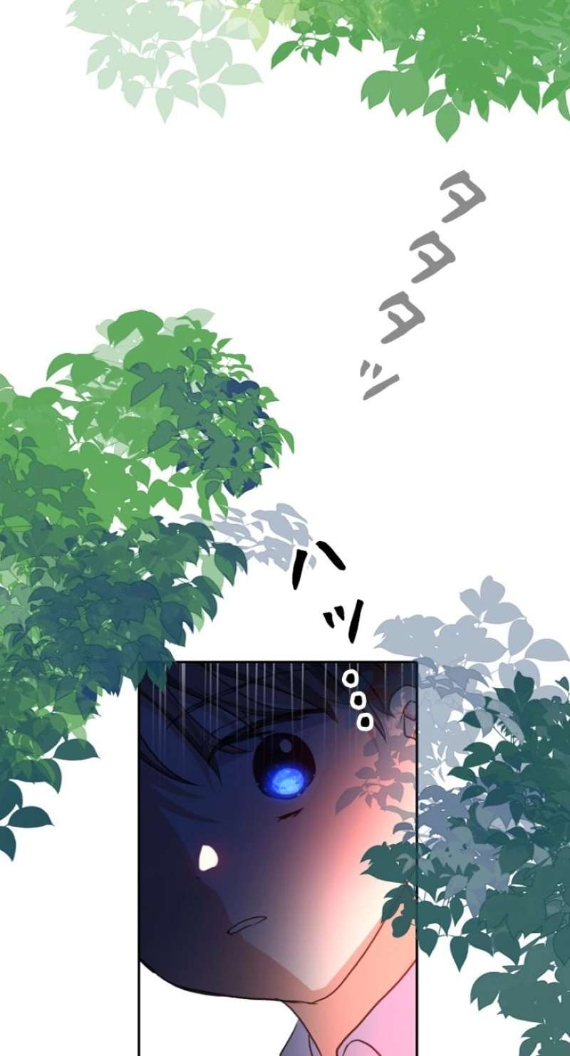 P62
