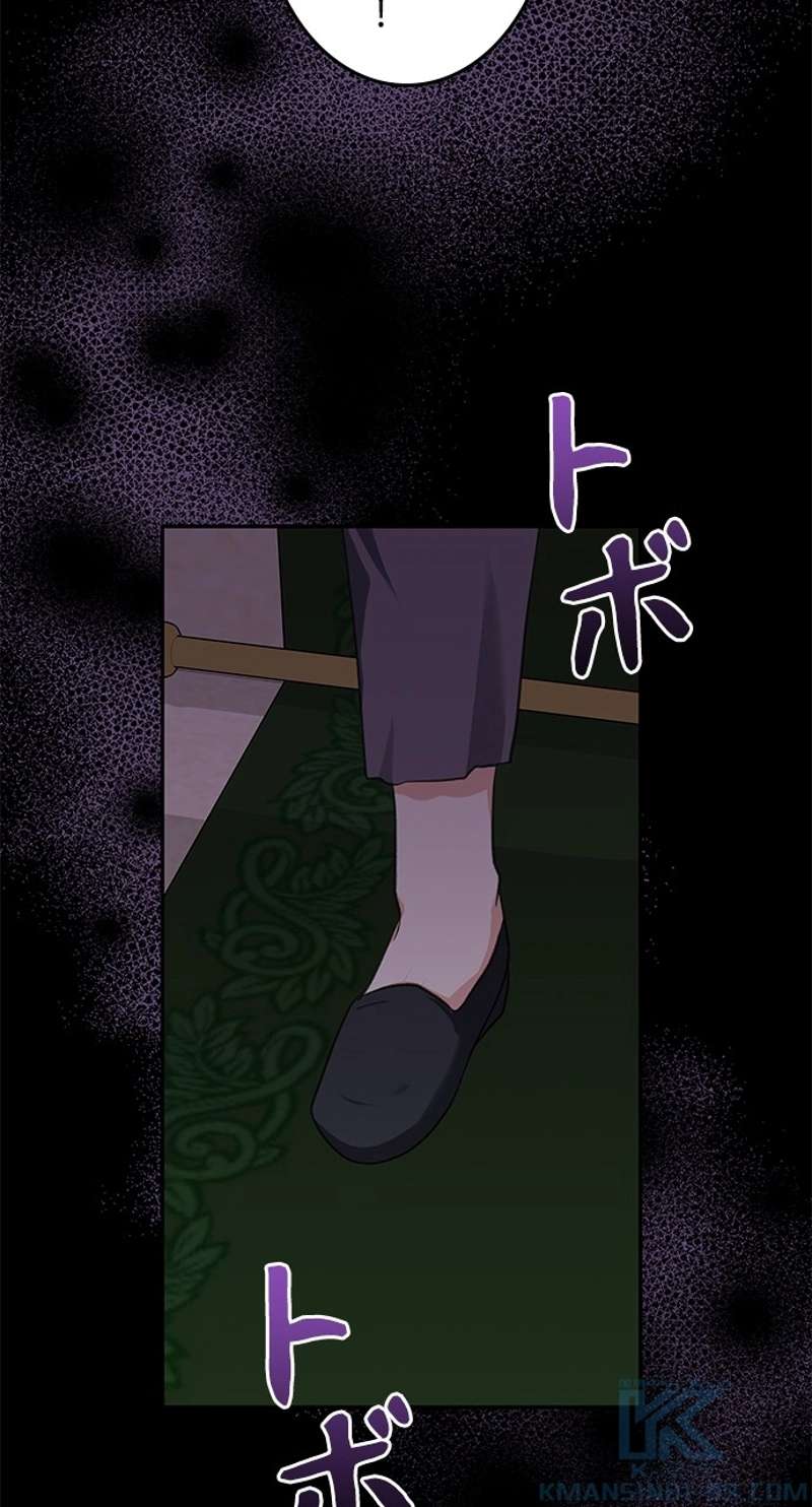 P61