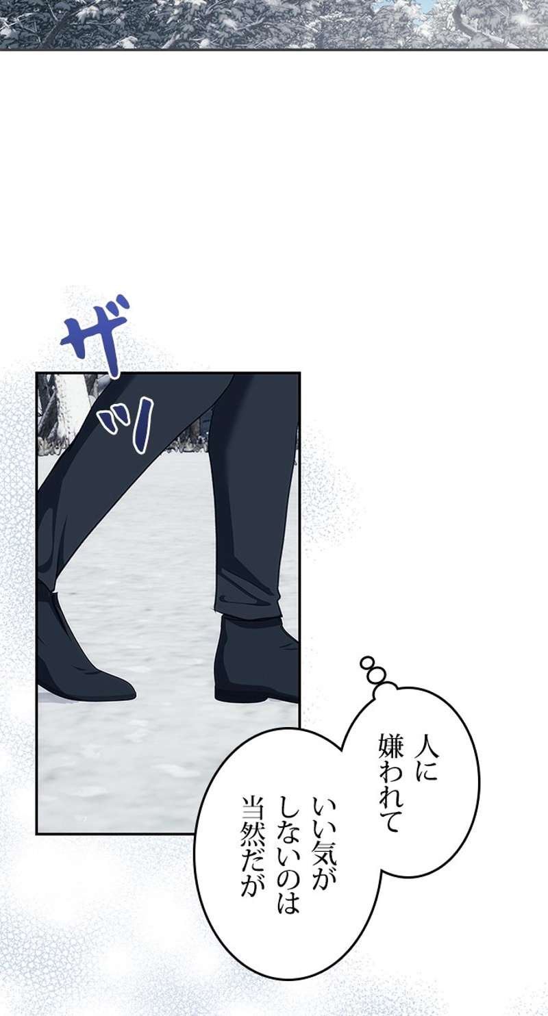 P41