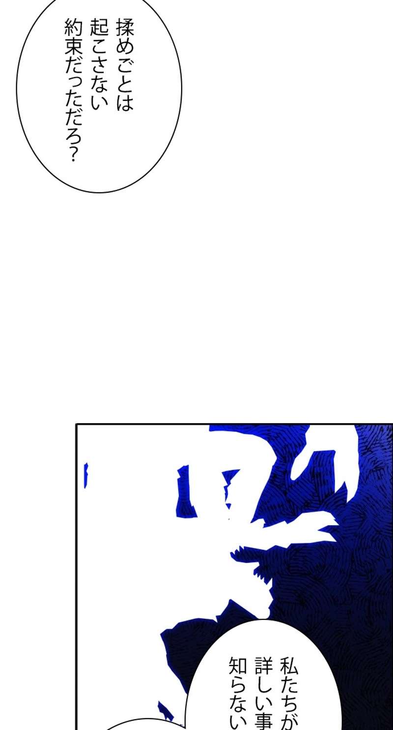 P66