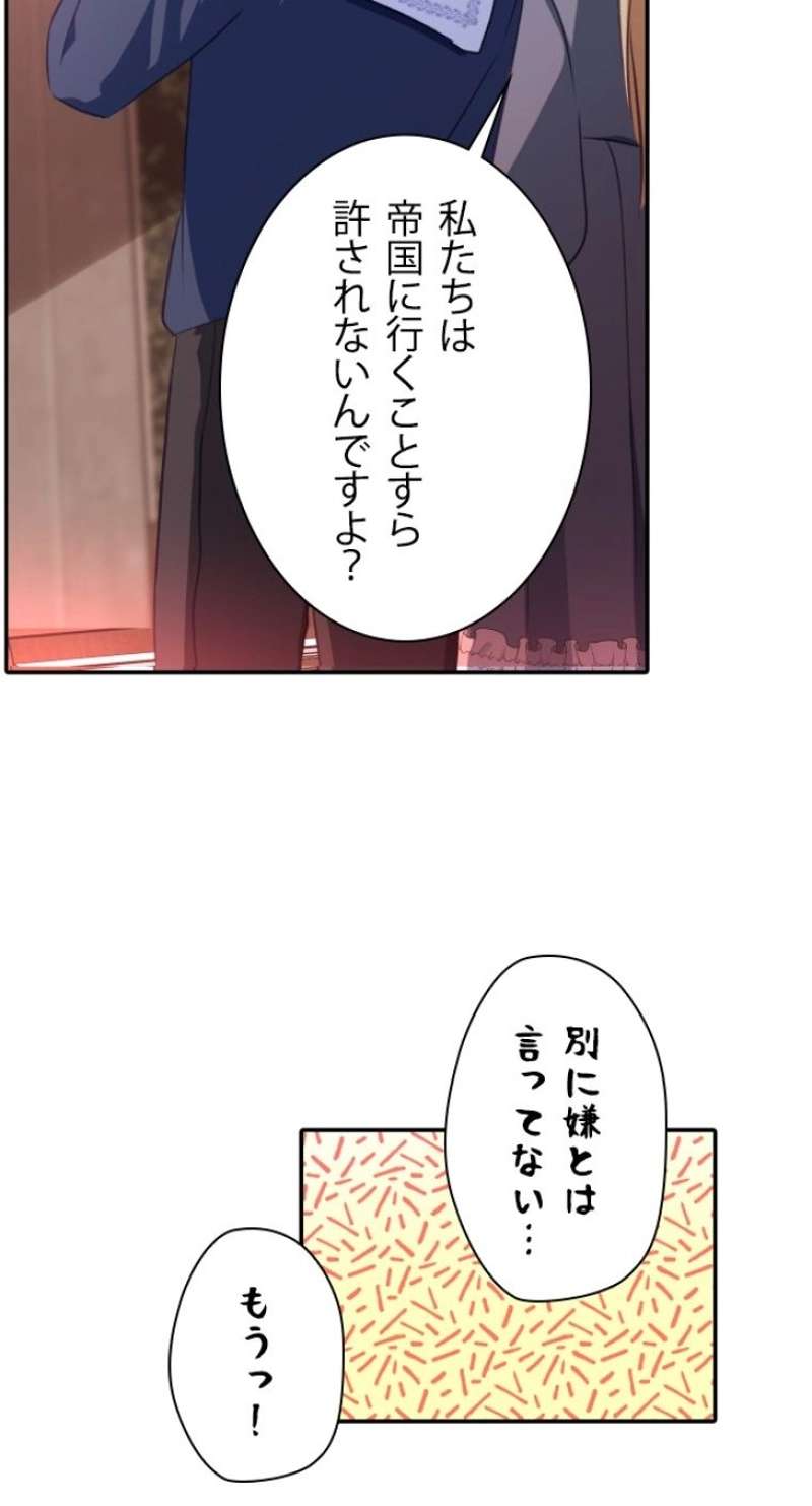 P66