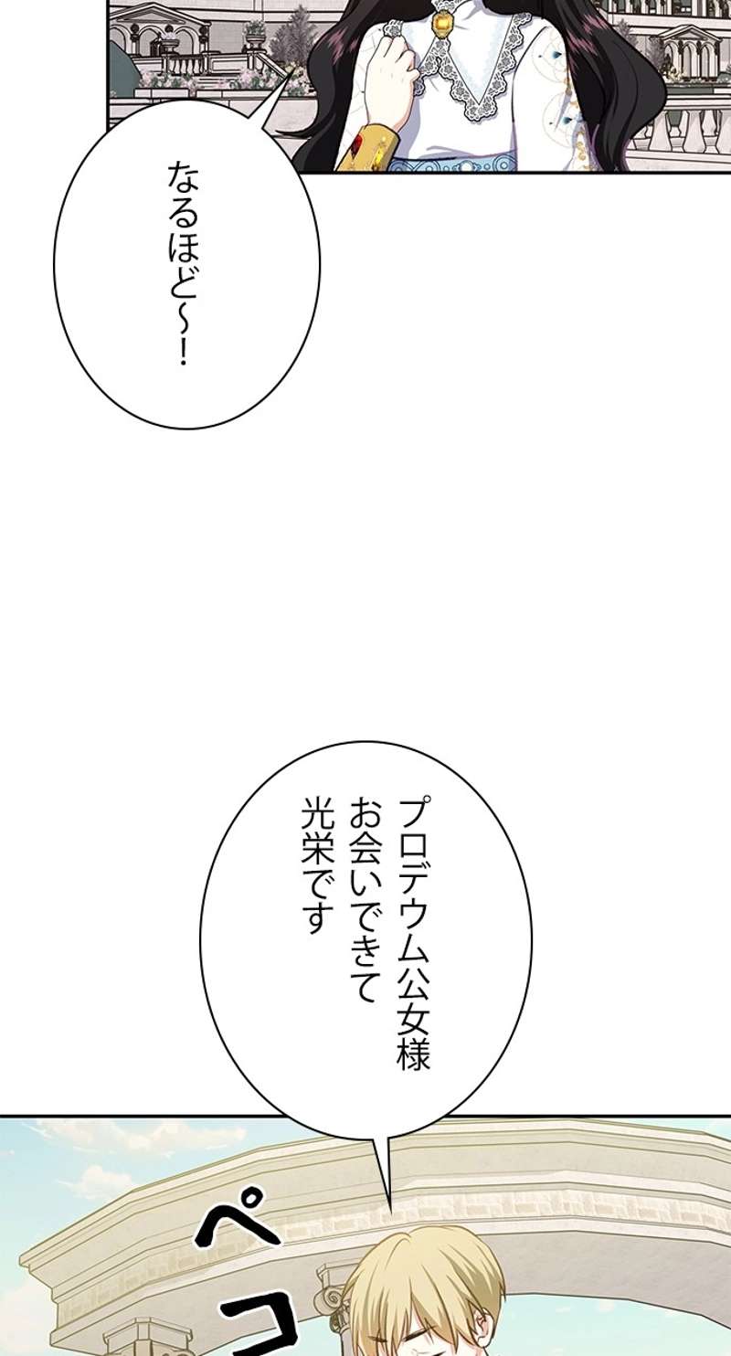 P63
