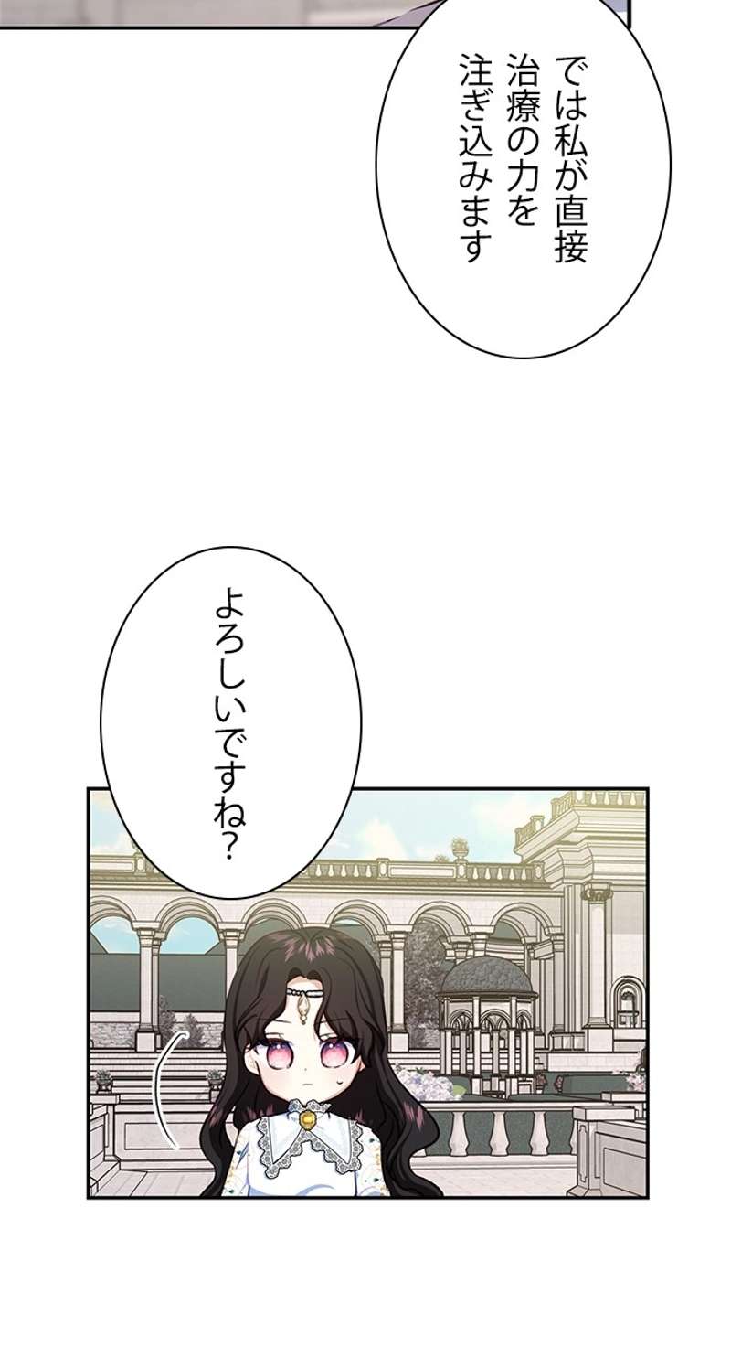 P66