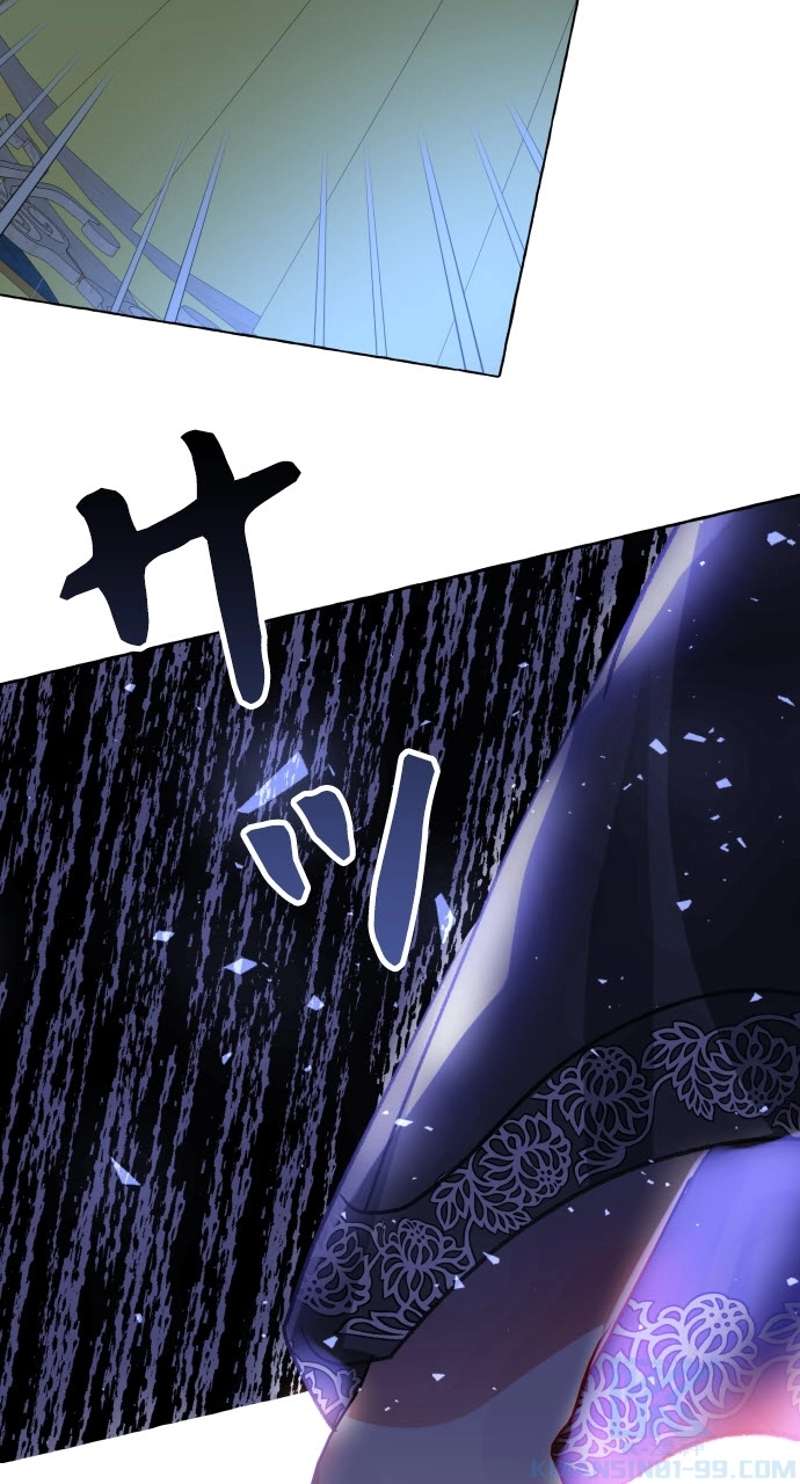 P61