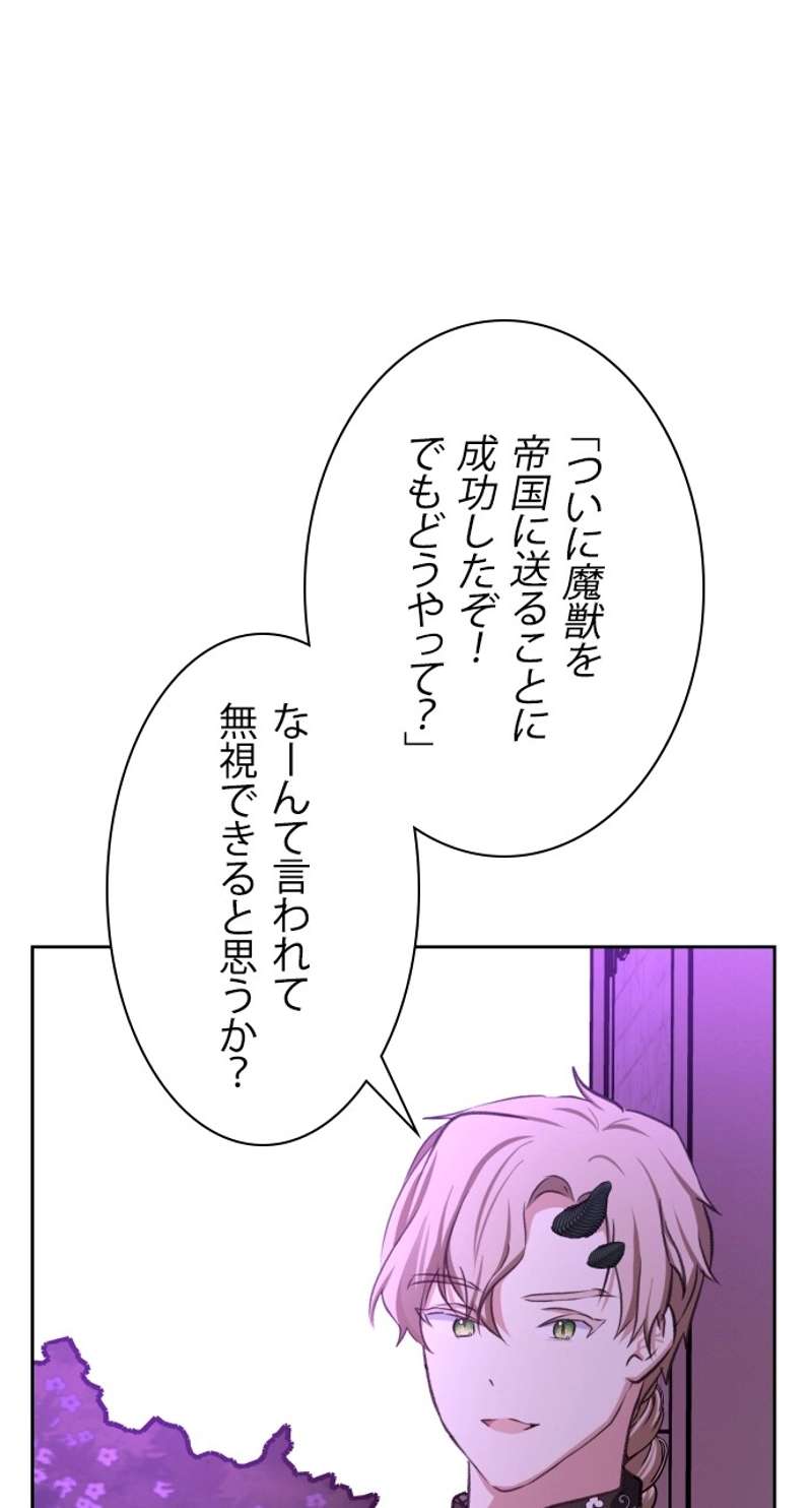 P62