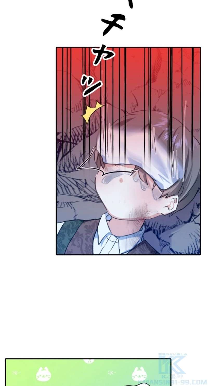 P58