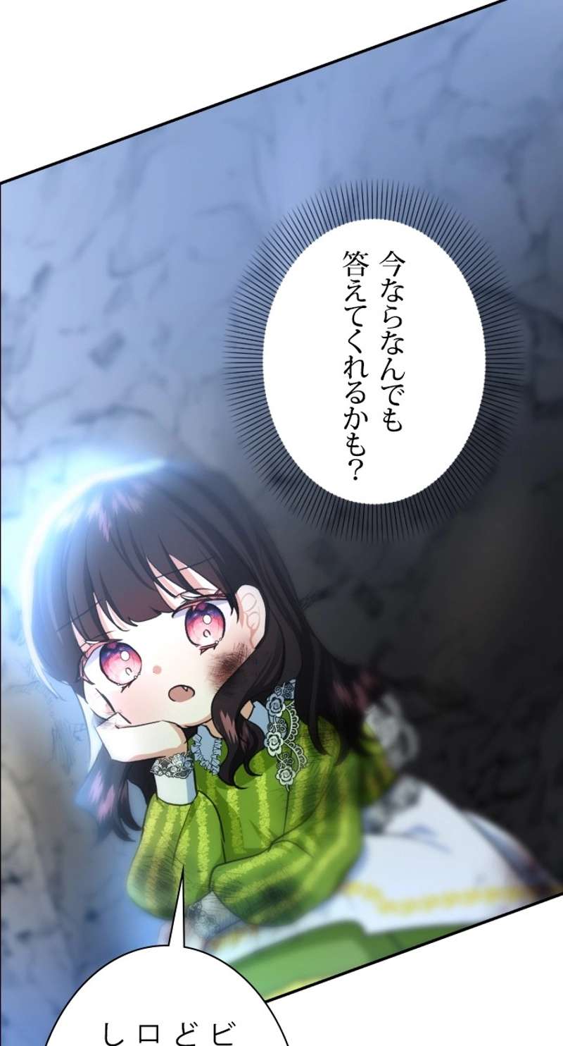 P63