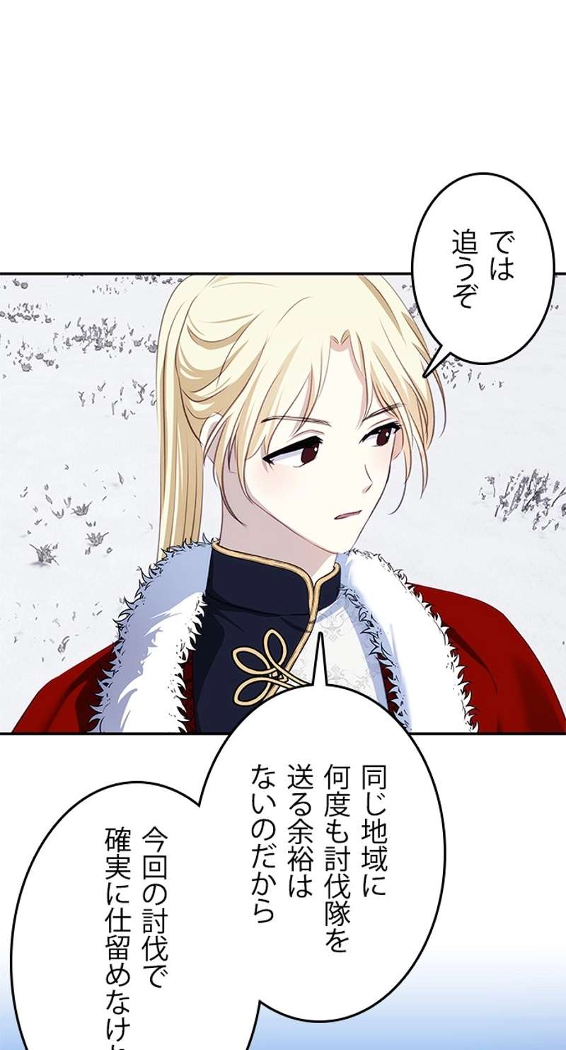 P53