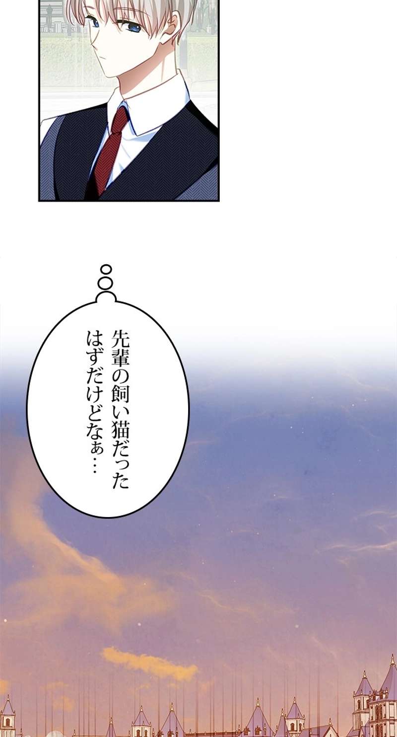 P48