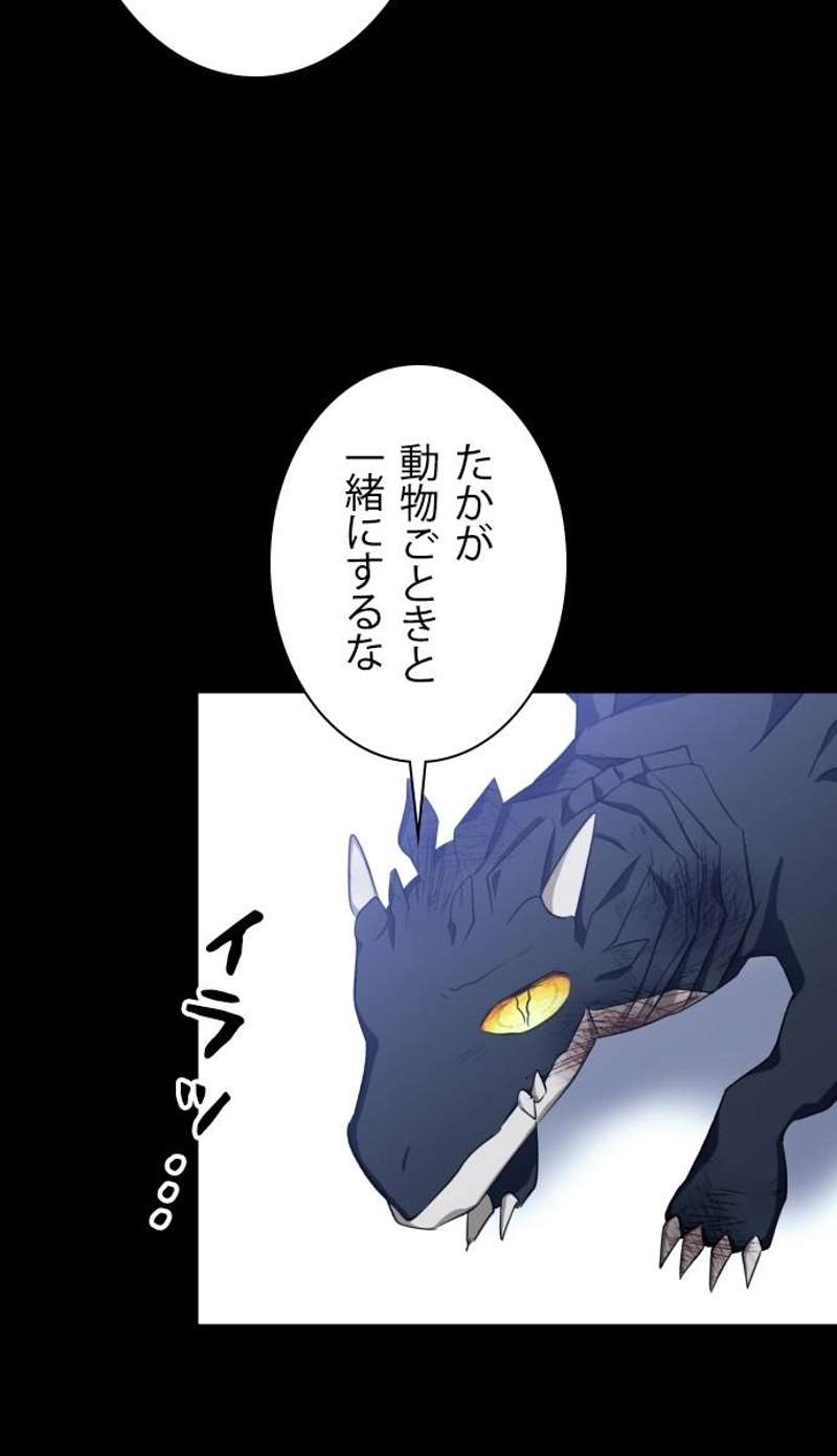 P63