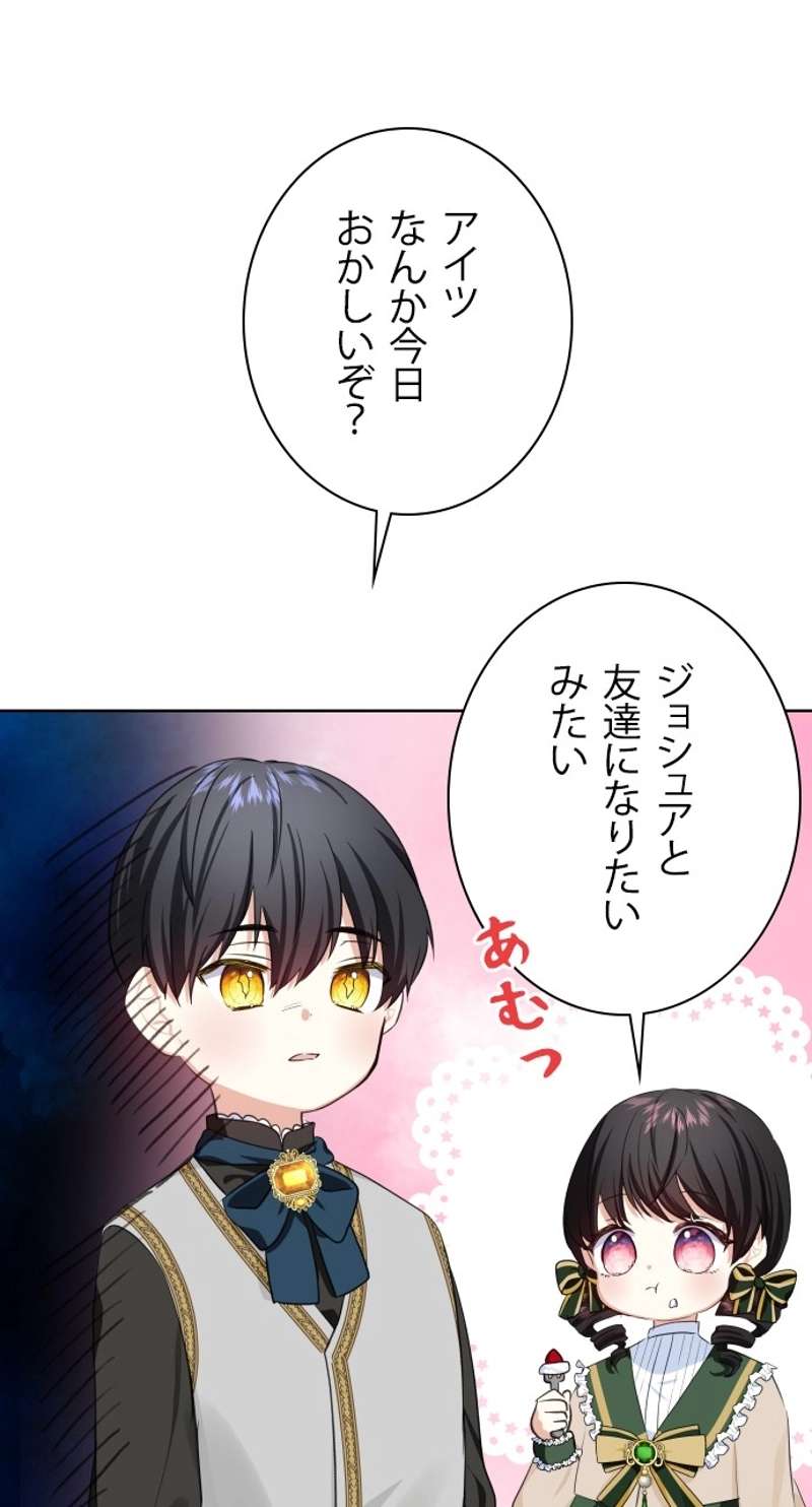 P66